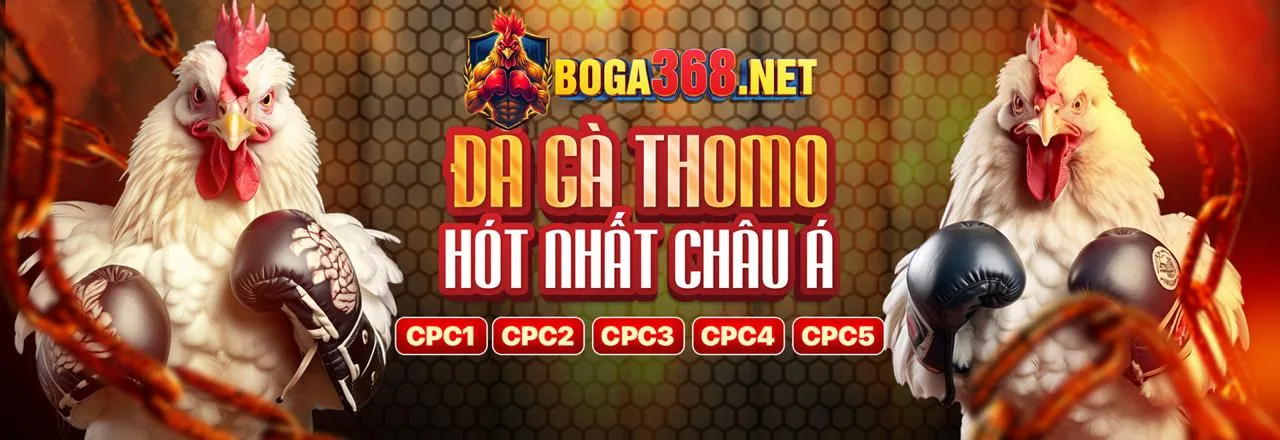 Đặc quyền độc quyền cho thành viên VIP okkinh nổ hũ